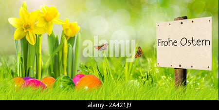 German Banner Happy Easter with Narcissus Stock Photo