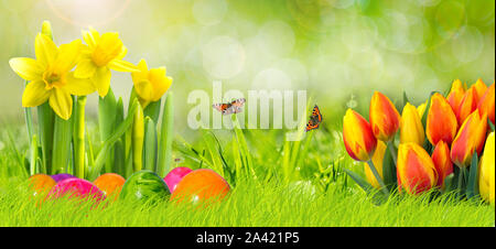 Flower Easter Banner Stock Photo