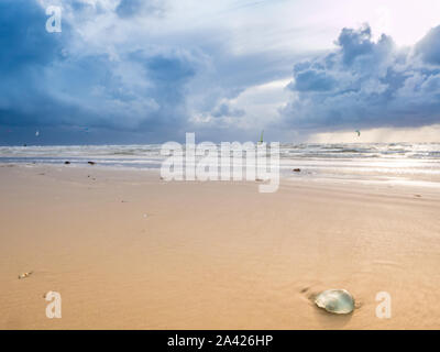 On the beach of Sankt Peter-Ording on the North Sea Stock Photo