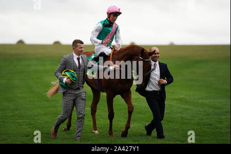 Winner of the bet365 Fillies’ Mile (Group 1) Quadrilateral ridden by Jason Watson on day one of the Dubai Future Champions Festival at Newmarket Racecourse. Stock Photo