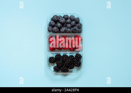Flatlay group of fresh blueberries, raspberries and blackberries in a transparent plastic container isolated in a light blue background viewed from th Stock Photo