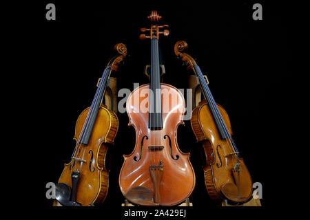 Italy, Lombardy, Cremona, Cremona Musica International Exhibitions and Festival 2019, Violins Standing Stock Photo