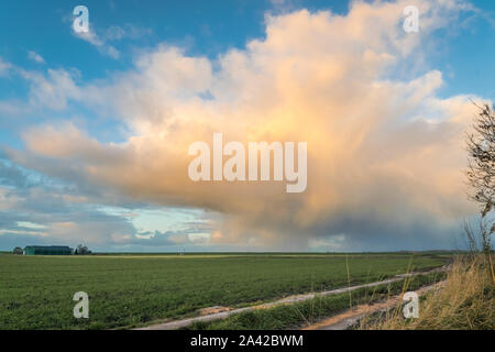 Wintry shower over the dutch countryside in Groene Hart, between the cities of Gouda and Leiden, Netherlands Stock Photo