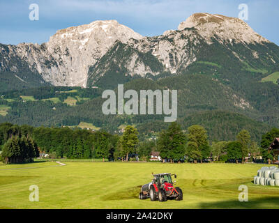 Tractor fertilizes a field in the Alps Stock Photo
