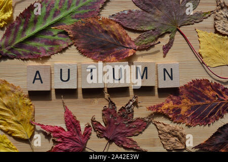 Fall B Alphabet letters of shape B in autumn style on pastel pink background ...