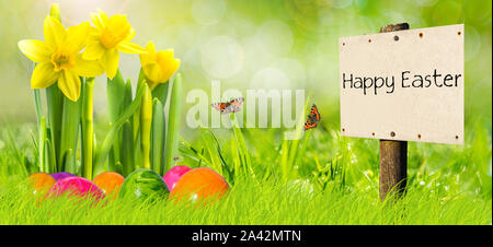 Banner Happy Easter with Narcissus Stock Photo
