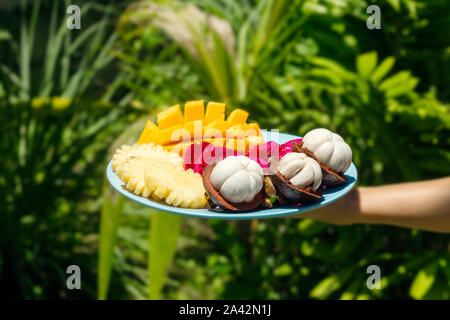 A girl in the green jungle is holding a plate with freshly cut and peeled tropical fruits. Stock Photo