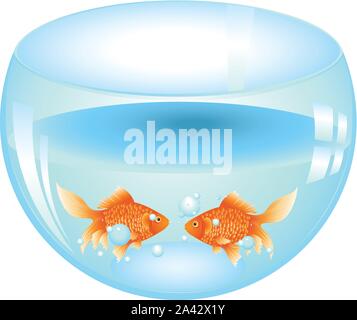 Cartoon gold fish swimming in the water in a fishbowl. Stock Vector