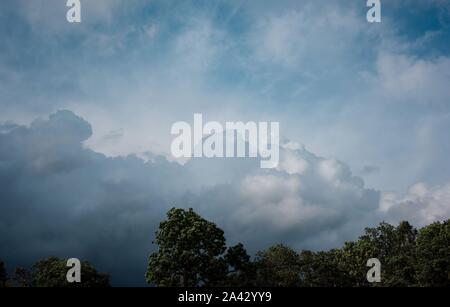 fluffy, moody clouds and trees in the sky in summer Stock Photo