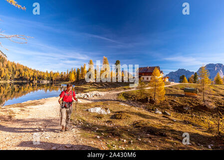 Hiker on path at Palmieri hut (Croda Del Lago) in autumn, Dolomites, Cortina d'Ampezzo, Belluno, Veneto, Italy Stock Photo