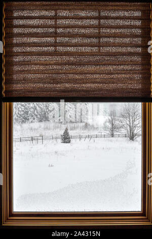 Morning view out my window after winter strom in Northern Michigan Stock Photo