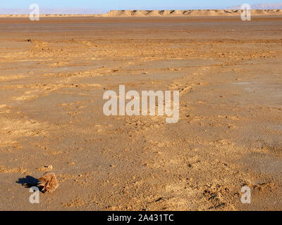 desert rose, Sahara desert, Tunisia, North Africa Stock Photo