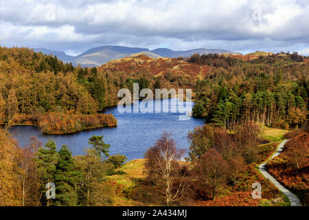 tarn hows lakes view,lake district national park, cumbria, england, uk gb