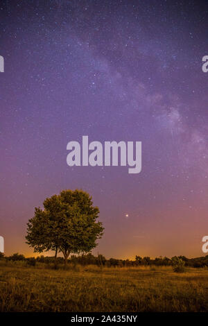 Clear purple sky with stars, lonely field and tree Stock Photo