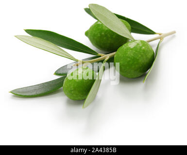 green olives with leaves isolated on white background Stock Photo