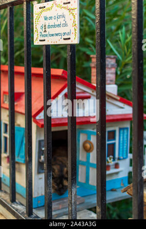 Sign and colorful cat house with cat inside in the small cat village in Independence Garden in Sliema, Malta. Stock Photo