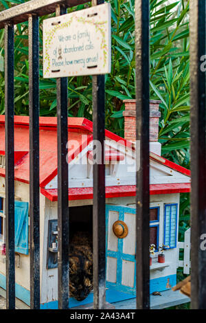 Sign and colorful cat house with cat inside in the small cat village in Independence Garden in Sliema, Malta. Stock Photo