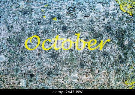 Grey stone with yellow and black moss, background. Yellow lichen on a tree. Yellow october word Stock Photo