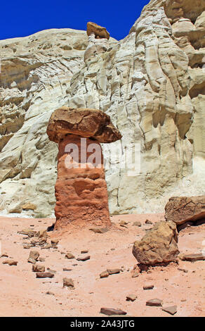 Red brown Toadstool, Utah Stock Photo