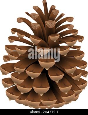 isolated pine cone illustration Stock Vector