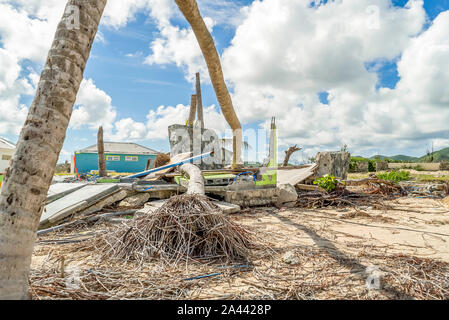 Hurricane Irma aftermath destruction to some of st.maarten/stmartin beaches blowing down trees and uprooting some on the beach. Stock Photo