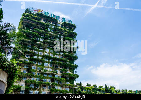 --FILE--View of the headquarters of Country Garden in Foshan city, east China's Guangdong province, 20 June 2019. The share price of Country Garden Se Stock Photo