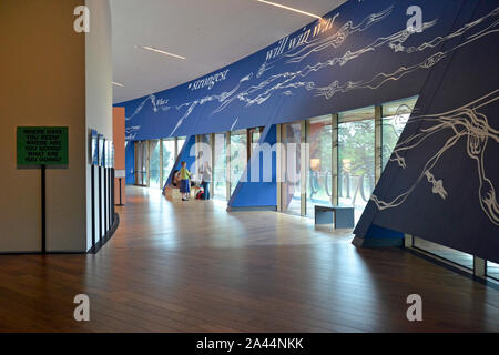 Firstsite Art Gallery in Colchester, Essex, UK Stock Photo