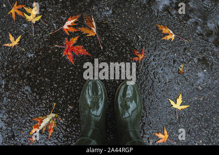 Feet in olive green rubber boots standing in a puddle with fallen leaves. Stock Photo