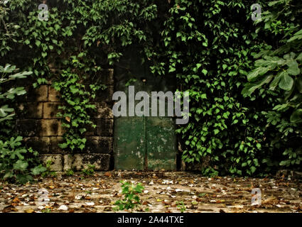 A green door surrounded by nature. Stock Photo