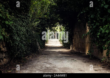 An alley in the park Stock Photo