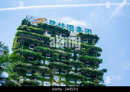 --FILE--View of the headquarters of Country Garden in Foshan city, east China's Guangdong province, 20 June 2019. The share price of Country Garden Se Stock Photo