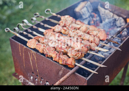 meat on skewers is roasted on a fire in nature Stock Photo