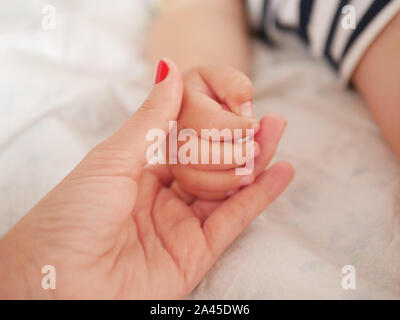 maternal hand holds her baby. Newborn children's hand in mother hand. Mom and her Child. Happy Family concept. Beautiful conceptual image of Maternity Stock Photo