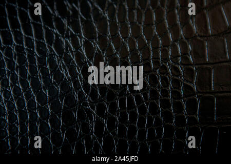 Black crocodile leather texture with for background. Stock Photo
