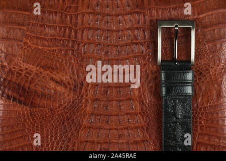 Close-up, black belt made of genuine leather made by hand lies on brown crocodile skin. Top view. Copy space Stock Photo