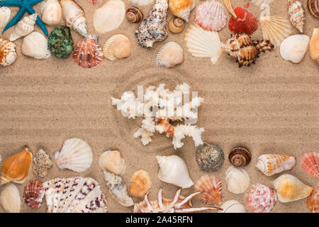 Emphasis on the coral, lying in the center of the circle of sand. Top view. Stock Photo