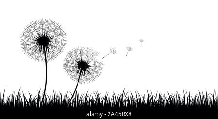 two dandelion silhouette with flying seeds on meadow vector illustration EPS10 Stock Vector
