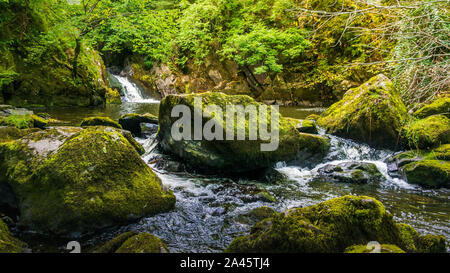 Small cascade on a mountain stream or creek, between mossy rocks, water flowing among stones, autumn, Wicklow, Ireland Stock Photo