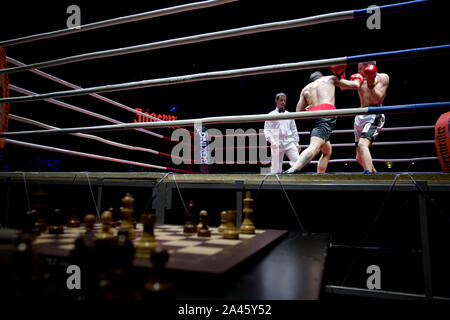 Moscow, Russia. 28th of November, 2013 Boxer Leonid Chernobaev from Belarus  plays chess in the ring in the match of the World Chess Boxing Championship  in Moscow, Russia Stock Photo - Alamy