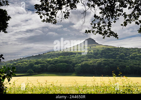 Roseberry Topping peak hill in North Yorkshire England with field of golden barley near Newton Under Roseberry North York Moors England Stock Photo