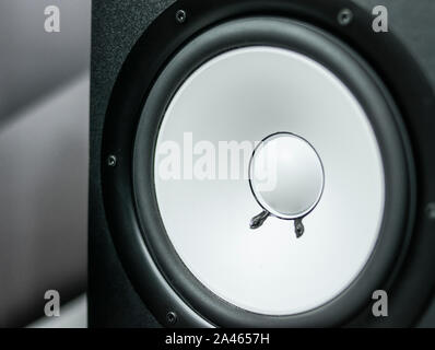Front of a flat response speaker of musical production with cone detail, its welds, and fastening screws to the wood, in gray and white colors Stock Photo