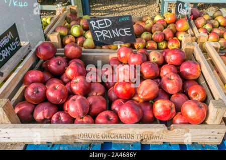 Box of red prince eating apples for sale at a Norfolk farm shop. Stock Photo