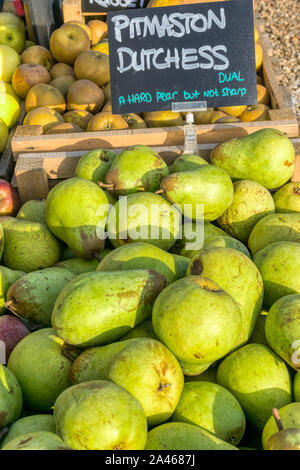 Pitmaston Duchess pears for sale at a Norfolk farm shop. Stock Photo