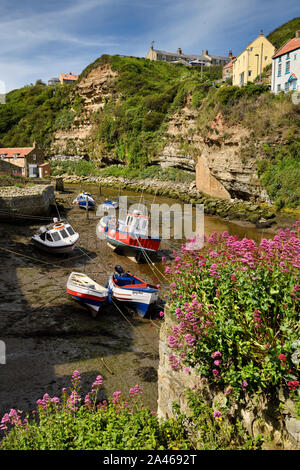 Fishing boats at low tide on Staithes Beck with Jurassic strata cliffs and Red Valerian flowers in Staithes seaside village North Yorkshire England Stock Photo