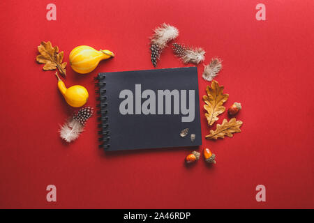 Black notepad and autumn frame of oak leaves, feathers, acorns and two small pumpkins on a red background. Flat lay, copy space. Stock Photo