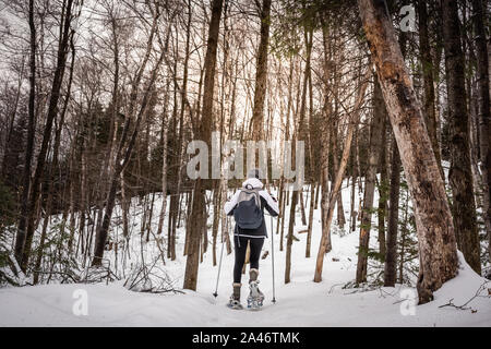 Rear-view of a young woman snowshoeing in the forest Stock Photo