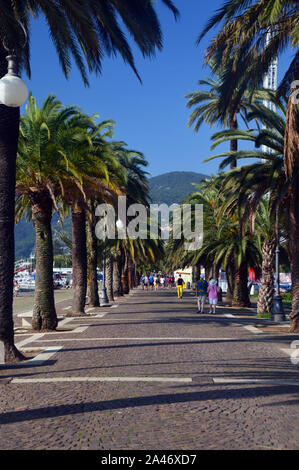 People Walking on the Palm Tree Lined Viale Italia Promenade in La Spezia, Italy, EU. Stock Photo