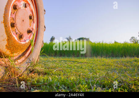 A old orange  tractor sits under a tree on the edge of a farm field.  High resolution image gallery. Stock Photo