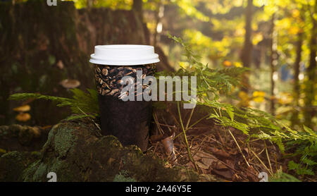 Cup of coffee on the stump in the forest. Autumn, fall concept. Moody picture, flare Stock Photo