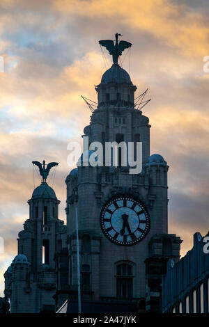 Liver bird statues on top of the Royal Liver Building in Liverpool Stock Photo